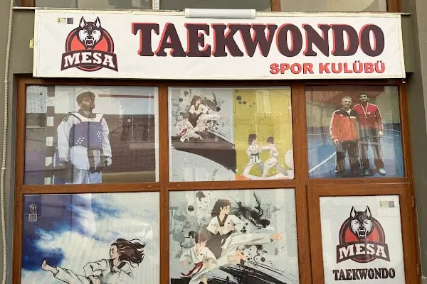 Mesa Taekwondo Spor Kulübü - Resim 10