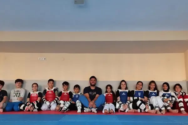 Mesa Taekwondo Spor Kulübü - Resim 8