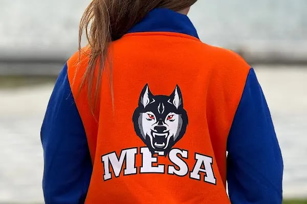 Mesa Taekwondo Spor Kulübü - Resim 19