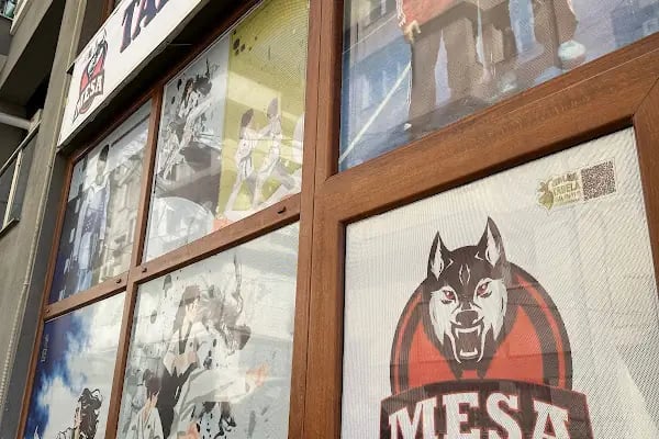 Mesa Taekwondo Spor Kulübü - Resim 4