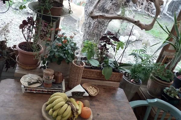 Göcek Tatil - Resim 14