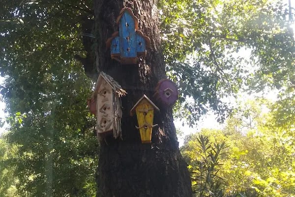 Göcek Tatil - Resim 16