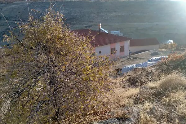 Cecimli Köyü Camii - Resim 3