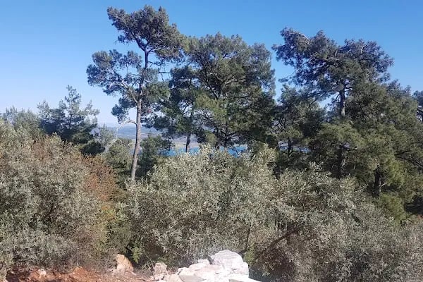 Gizli cottage dag evleri - Resim 5