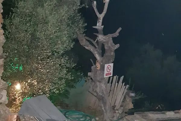 Gizli cottage dag evleri - Resim 18