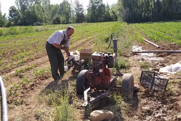 Ali Usta Pancar Motor Tamiri - Resim 11