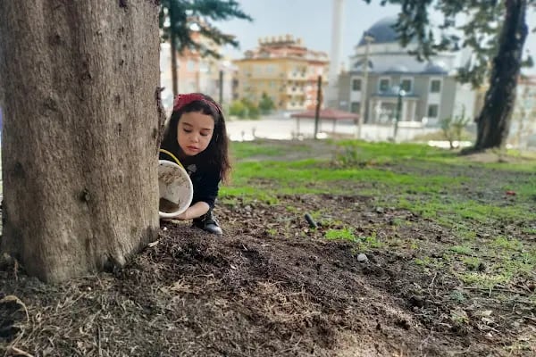 Özel Elif Çevik Anaokulu - Resim 10