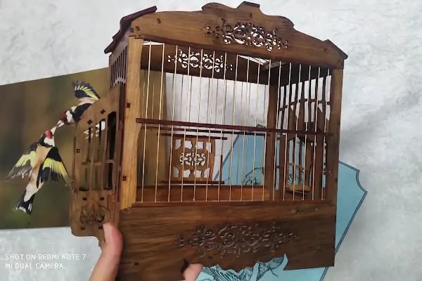 Baykuş petshop - Resim 7