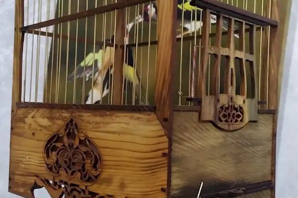 Baykuş petshop - Resim 9