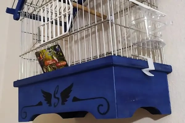 Baykuş petshop - Resim 5