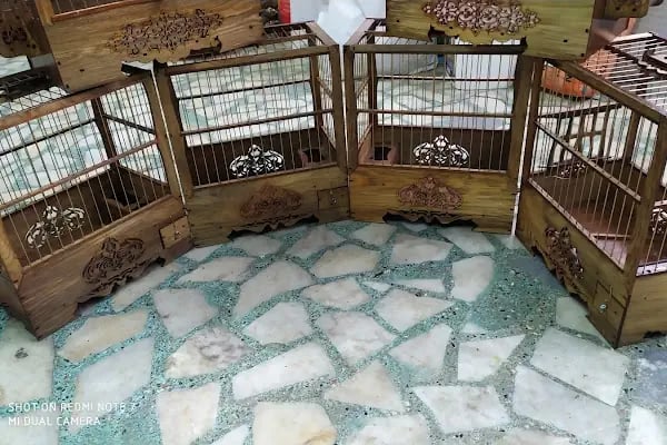 Baykuş petshop - Resim 6