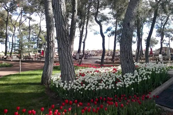Kepez Belediyesi Sosyal Tesisler Ve Mesire Alanı - Resim 2