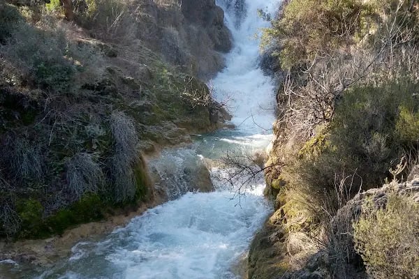Kepez Belediyesi Sosyal Tesisler Ve Mesire Alanı - Resim 7