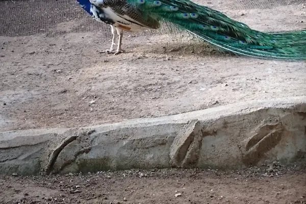 Kepez Belediyesi Sosyal Tesisler Ve Mesire Alanı - Resim 13