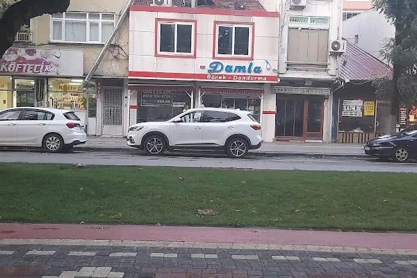 Karaağaç erkek Berberi - Resim 1
