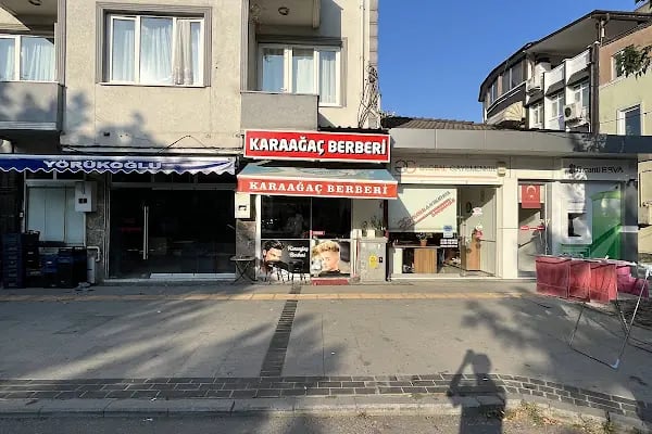 Karaağaç erkek Berberi - Resim 3