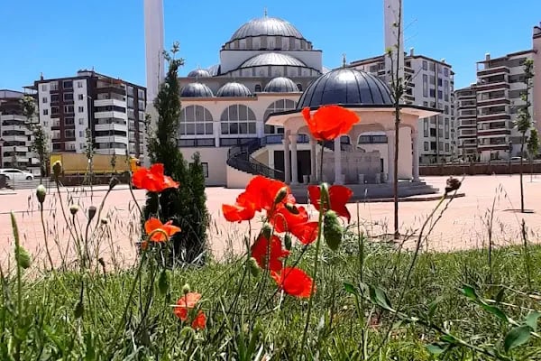 İbni Sina Cami - Resim 18