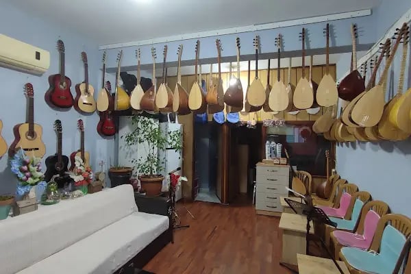 Duygu Onur Müzik Evi Saz Kursu - Resim 3