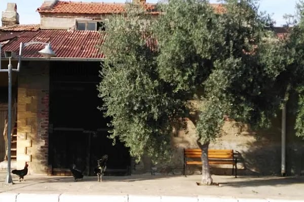 Sultanhisar - Resim 5