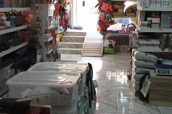 Yaylalı Petshop &amp; Outdoor Giyim. - Resim 17