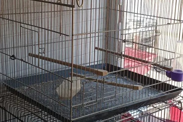 Yaylalı Petshop &amp; Outdoor Giyim. - Resim 11