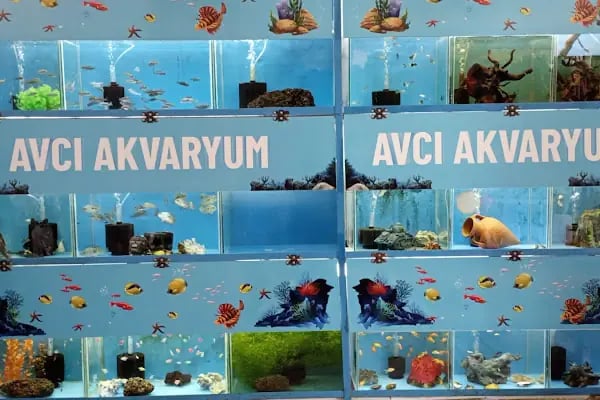 Yaylalı Petshop &amp; Outdoor Giyim. - Resim 12