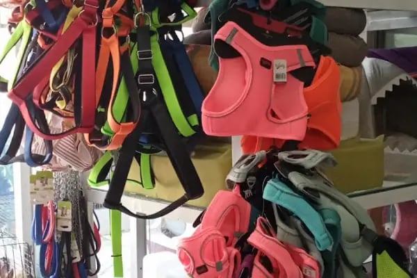 Yaylalı Petshop &amp; Outdoor Giyim. - Resim 15