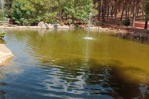 Burç Tabiat Parkı - Resim 5