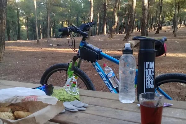 Burç Tabiat Parkı - Resim 12