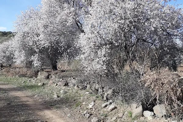 Burç Tabiat Parkı - Resim 9