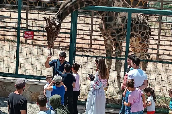 Burç Tabiat Parkı - Resim 10