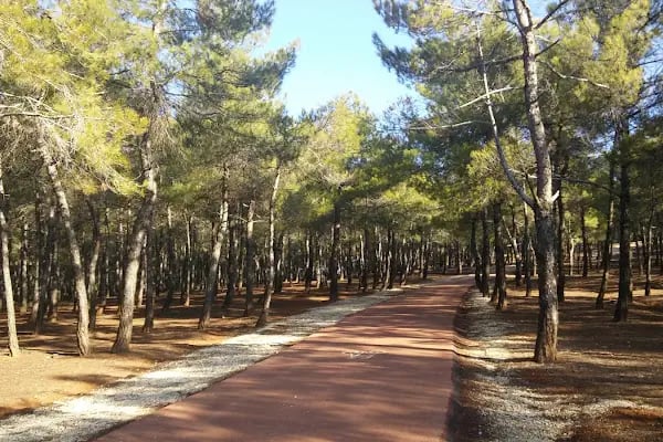 Burç Tabiat Parkı - Resim 2