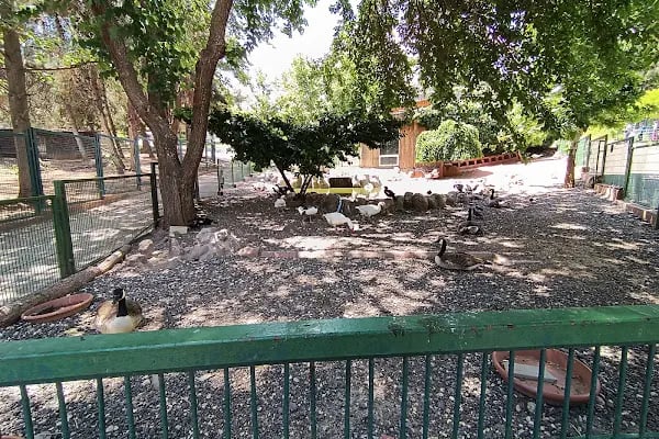 Burç Tabiat Parkı - Resim 19