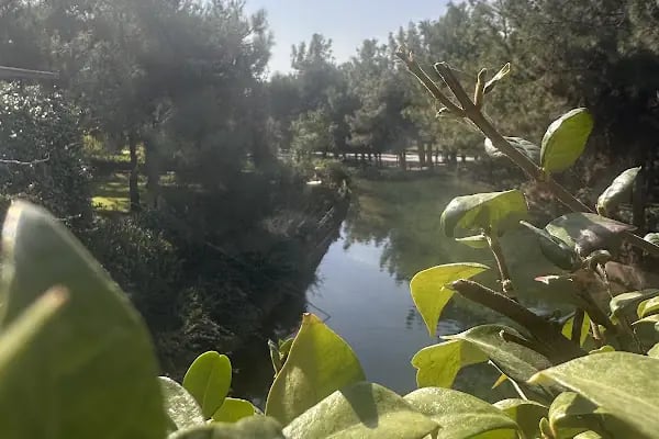 Burç Tabiat Parkı - Resim 15