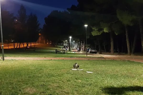 Burç Tabiat Parkı - Resim 4