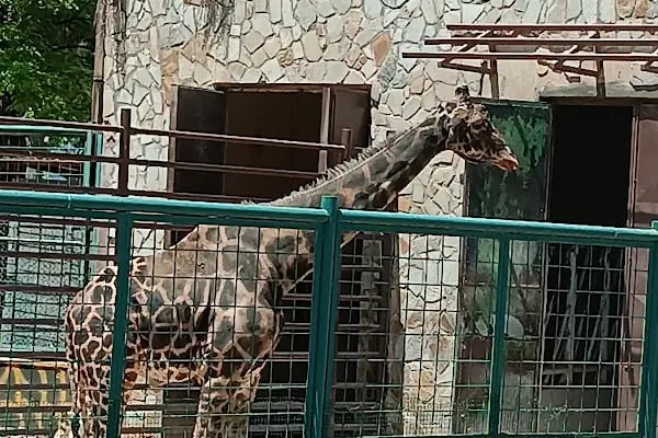 Burç Tabiat Parkı - Resim 17
