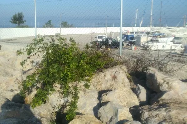 Beysel Sitesi - Resim 11