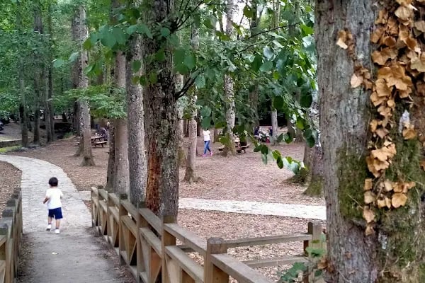 Kömürcü Bendi Milli Parkı - Resim 2