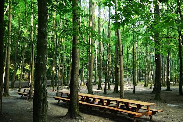 Kömürcü Bendi Milli Parkı - Resim 1