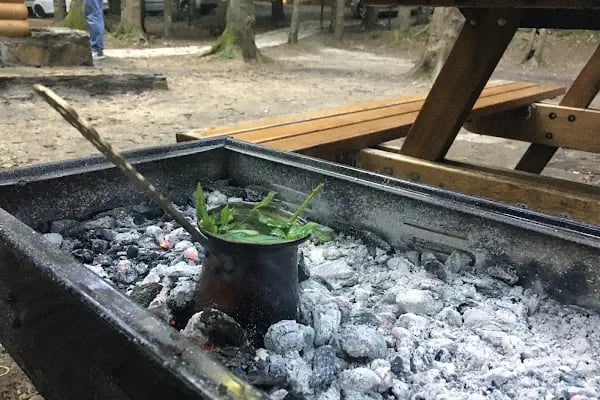 Kömürcü Bendi Milli Parkı - Resim 15