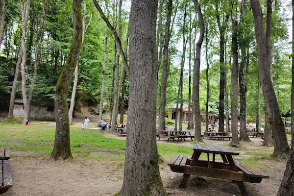 Kömürcü Bendi Milli Parkı - Resim 3