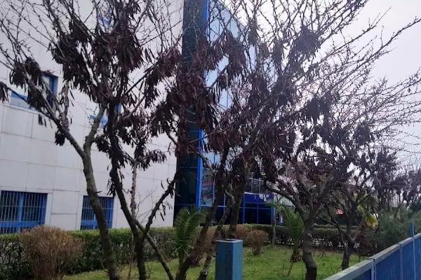 Küçükçekmece Vergi Dairesi - Resim 14