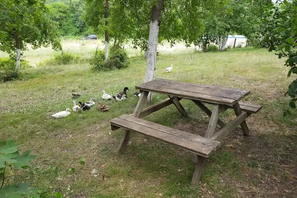 Baklalı Piknik Alanı - Resim 20