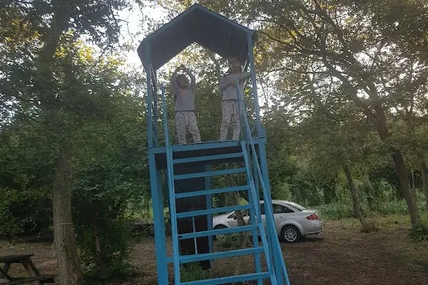 Baklalı Piknik Alanı - Resim 16