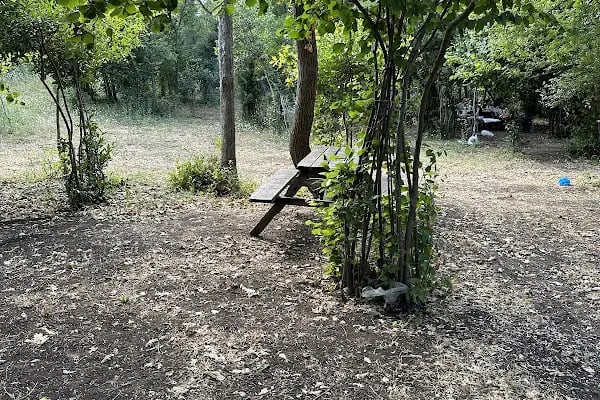 Baklalı Piknik Alanı - Resim 8