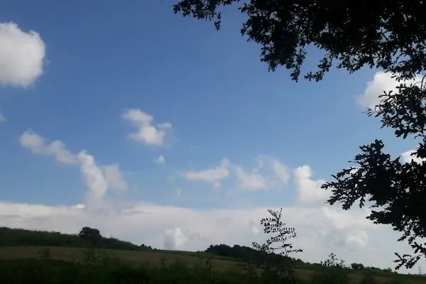 Baklalı Piknik Alanı - Resim 14