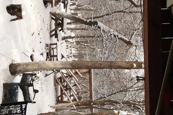 Baklalı Piknik Alanı - Resim 19