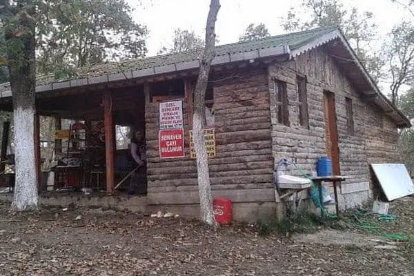 Baklalı Piknik Alanı - Resim 5