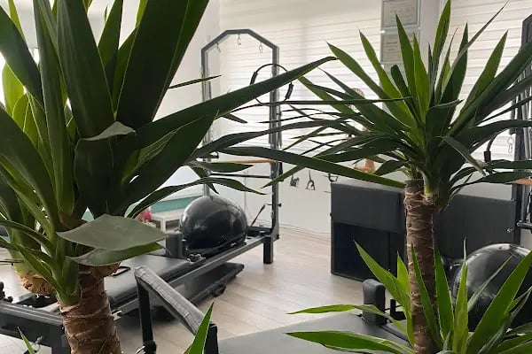 Fully Pilates - Resim 8