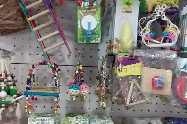 Tropikal petshop akvaryum Çerkezköy - Resim 6